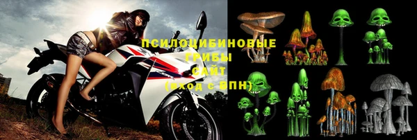 крисы Бронницы