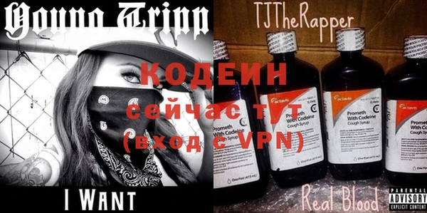 крисы Бронницы