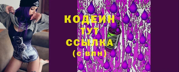 2c-b Бородино